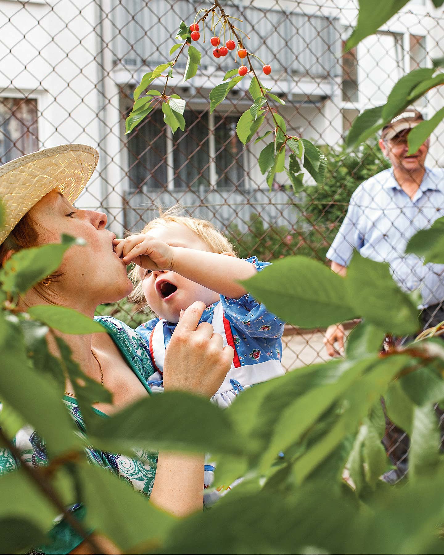 Kind füttern seine Mutter im Garten
