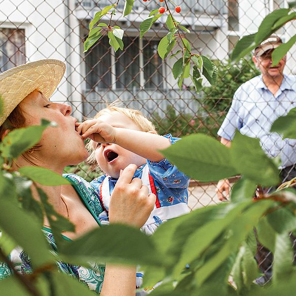 Kind füttern seine Mutter im Garten